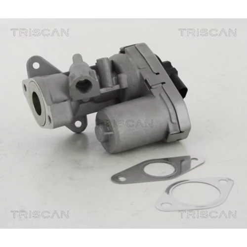 EGR ventil TRISCAN 8813 10002