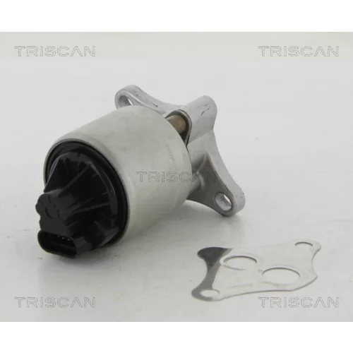 EGR ventil TRISCAN 8813 24004