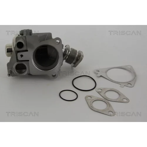 EGR ventil TRISCAN 8813 28019 - obr. 1