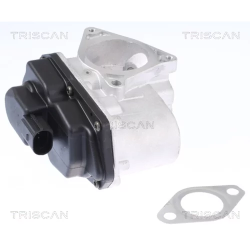 EGR ventil TRISCAN 8813 29003