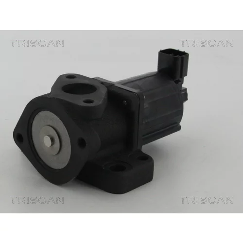 EGR ventil 8813 50007 /TRISCAN/ - obr. 2