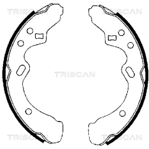 Sada brzdových čeľustí TRISCAN 8100 50438