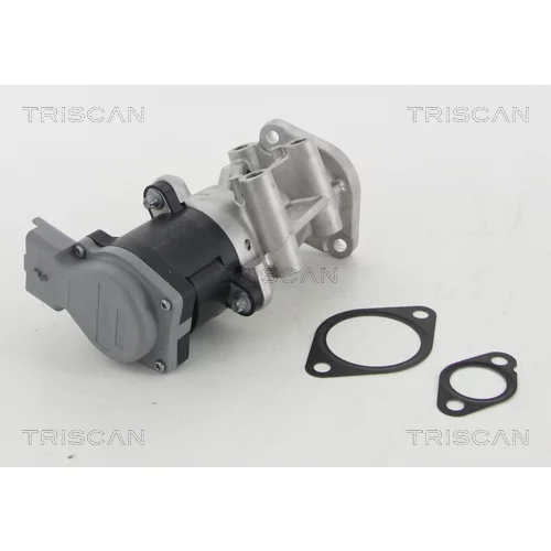 EGR ventil 8813 10009 /TRISCAN/ - obr. 2