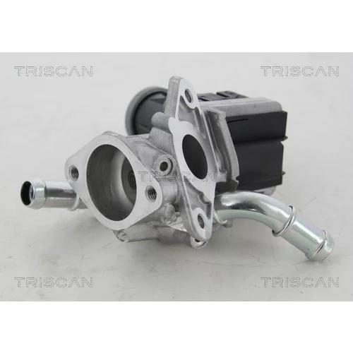 EGR ventil TRISCAN 8813 16036