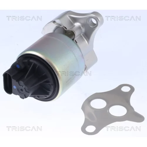 EGR ventil TRISCAN 8813 21001