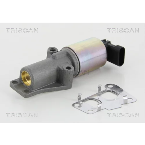 EGR ventil 8813 24010 /TRISCAN/