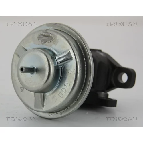 EGR ventil TRISCAN 8813 43003