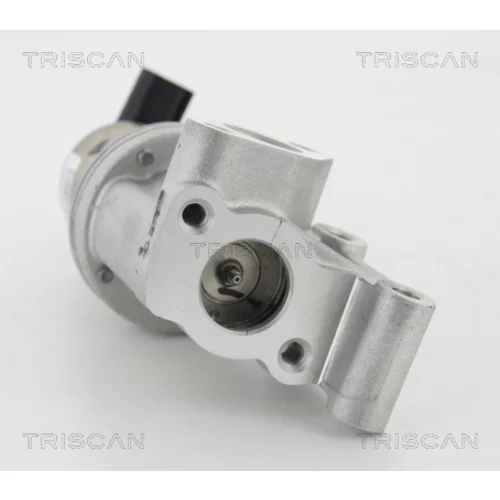 EGR ventil 8813 43021 /TRISCAN/ - obr. 2