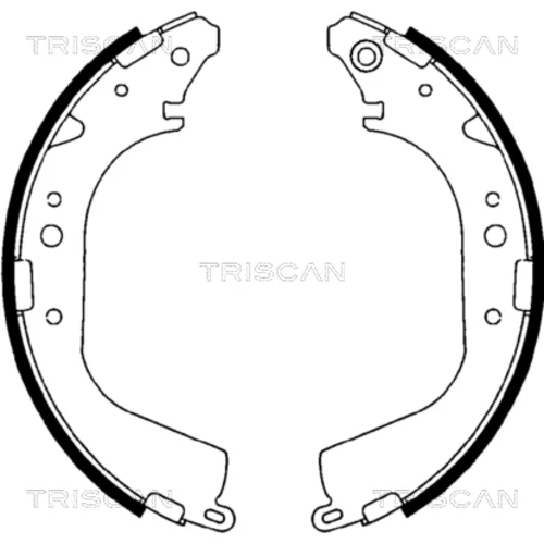 Sada brzdových čeľustí TRISCAN 8100 10425