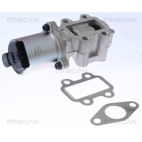 EGR ventil TRISCAN 8813 13100