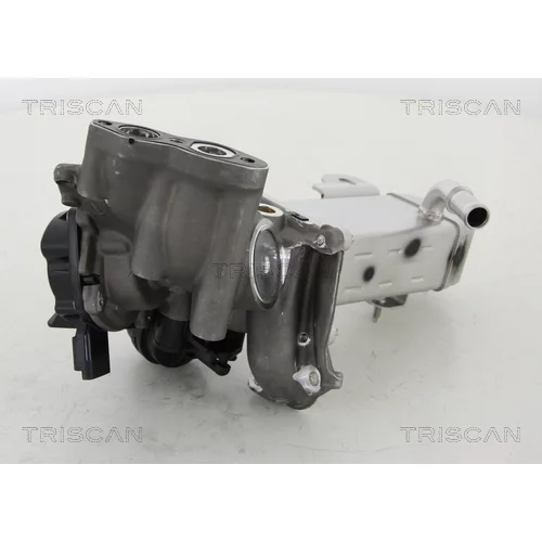 EGR ventil TRISCAN 8813 16014