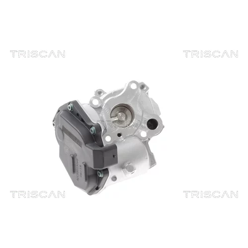 EGR ventil TRISCAN 8813 23015