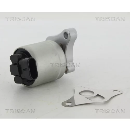 EGR ventil TRISCAN 8813 24002