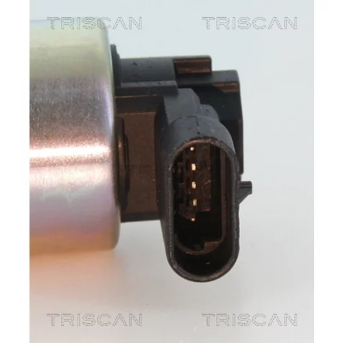 EGR ventil 8813 24010 /TRISCAN/ - obr. 1