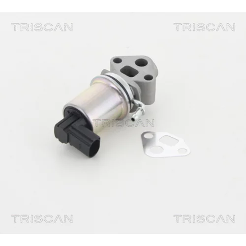 EGR ventil 8813 29007 /TRISCAN/