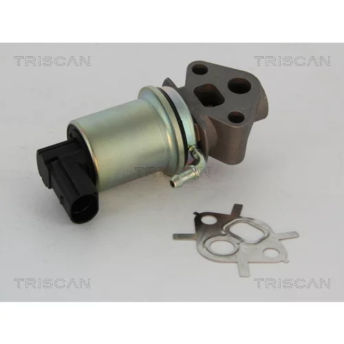 EGR ventil 8813 29007 /TRISCAN/ - obr. 2