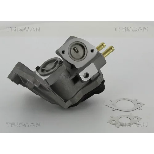 EGR ventil TRISCAN 8813 29047 - obr. 3