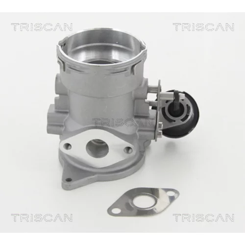 EGR ventil TRISCAN 8813 29056