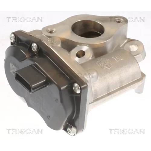 EGR ventil TRISCAN 8813 10055