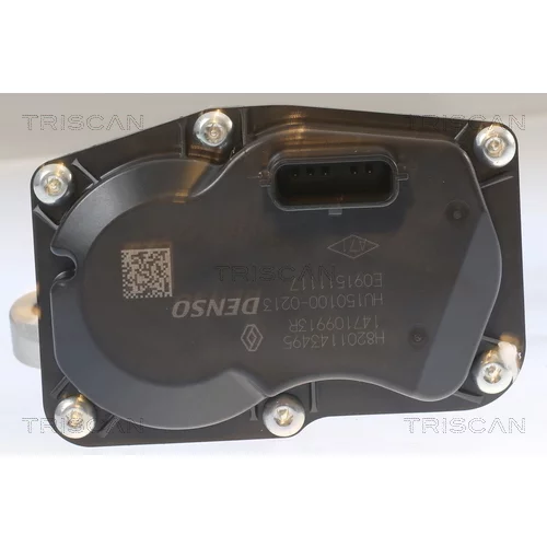 EGR ventil TRISCAN 8813 10055 - obr. 1