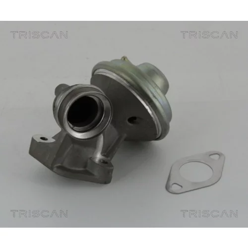 EGR ventil TRISCAN 8813 10102