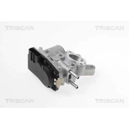 EGR ventil TRISCAN 8813 14100