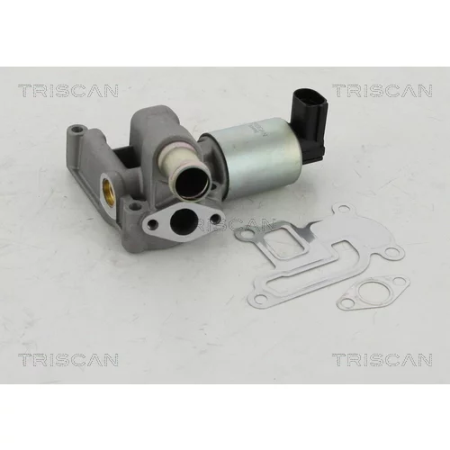 EGR ventil TRISCAN 8813 24003