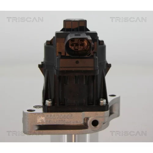 EGR ventil TRISCAN 8813 24205 - obr. 1