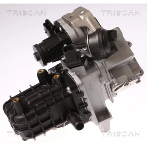 EGR ventil TRISCAN 8813 28046 - obr. 2