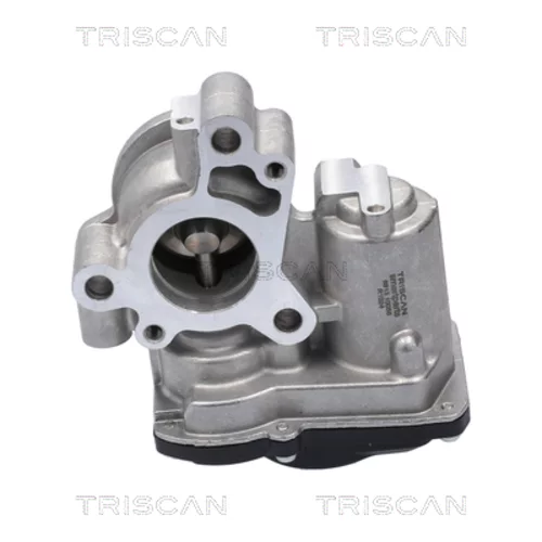 EGR ventil TRISCAN 8813 10056