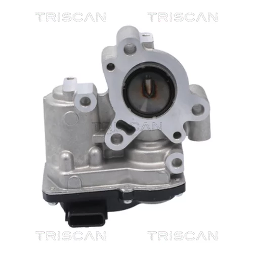 EGR ventil TRISCAN 8813 10056 - obr. 2