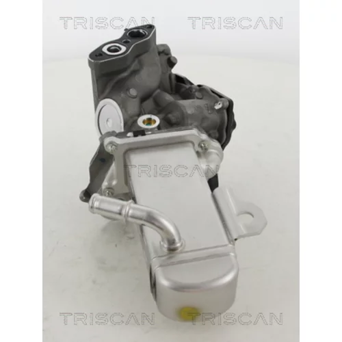 EGR ventil TRISCAN 8813 16014 - obr. 2