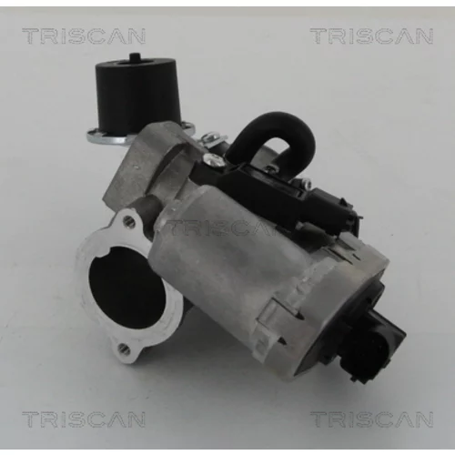 EGR ventil TRISCAN 8813 16202