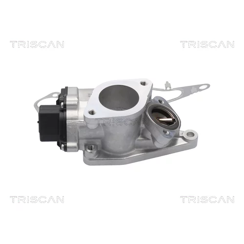 EGR ventil TRISCAN 8813 25201 - obr. 2