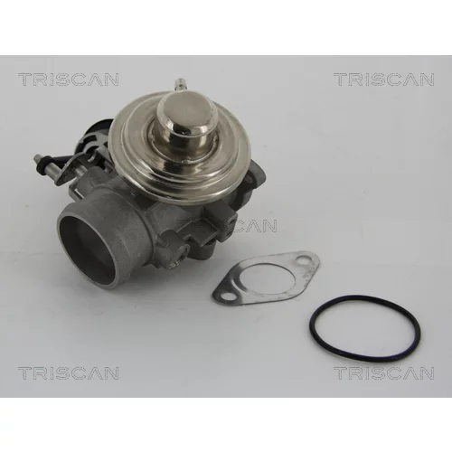 EGR ventil TRISCAN 8813 29001