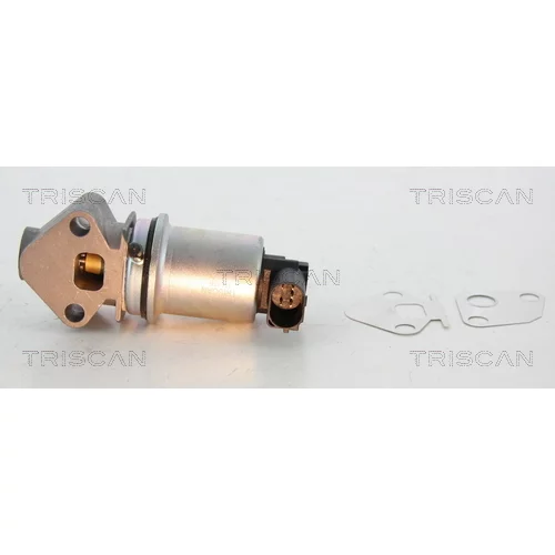 EGR ventil TRISCAN 8813 29024 - obr. 1