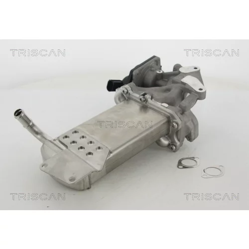 EGR ventil TRISCAN 8813 29302 - obr. 2