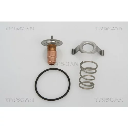 Termostat chladenia TRISCAN 8620 13487