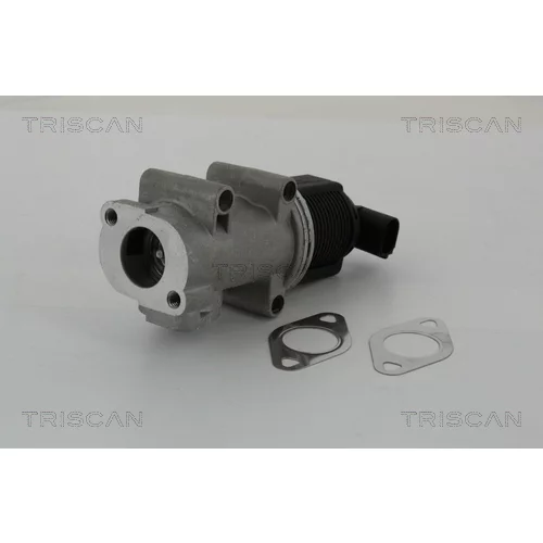 EGR ventil TRISCAN 8813 10005