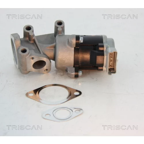 EGR ventil TRISCAN 8813 10008 - obr. 1