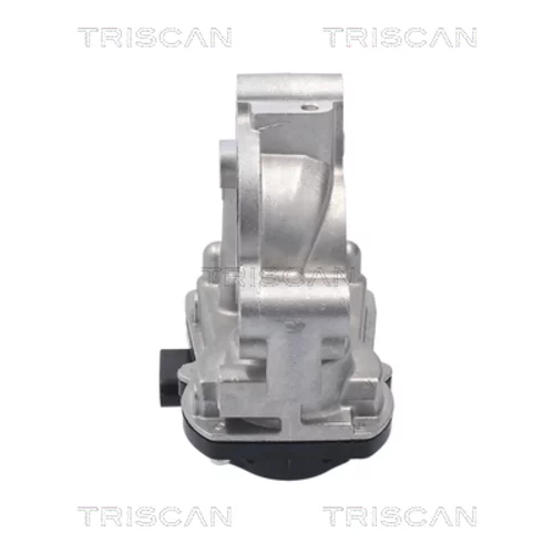 EGR ventil TRISCAN 8813 10056 - obr. 3