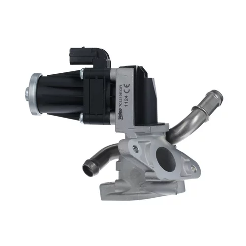 EGR ventil VALEO 703219