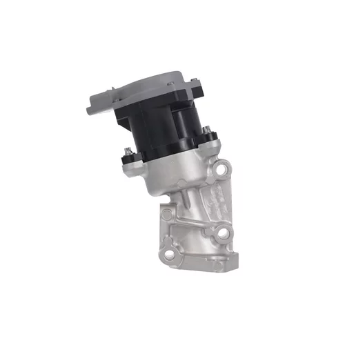 EGR ventil VALEO 700411 - obr. 1