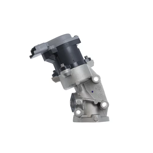 EGR ventil VALEO 700422