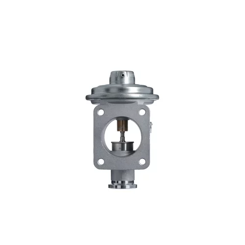 EGR ventil VALEO 703269