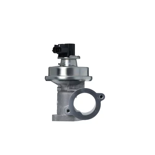 EGR ventil VALEO 703256