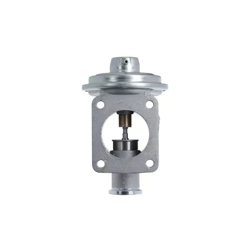 EGR ventil VALEO 703239