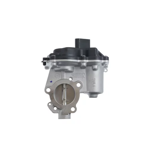 EGR ventil VALEO 700457