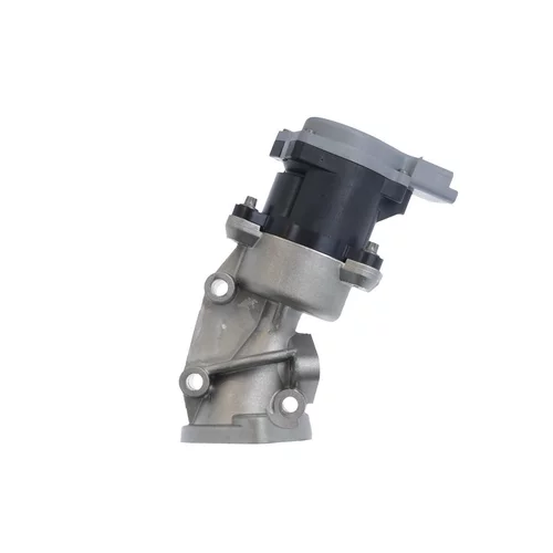 EGR ventil VALEO 700422 - obr. 1