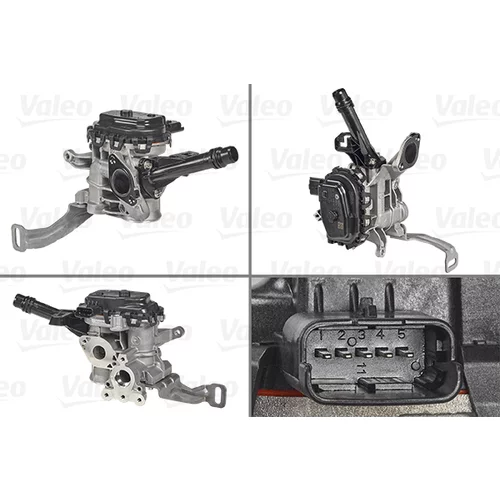 EGR ventil VALEO 700455